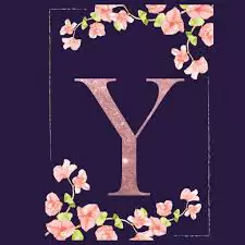 y name dp pic